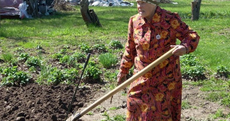Баба юля любила працювати на ділянці. Якось, коли вона розпушувала землю на своїй ділянці, знайшов там банку з грошима. Вона ще не знала, що незабаром буде її с уд.
