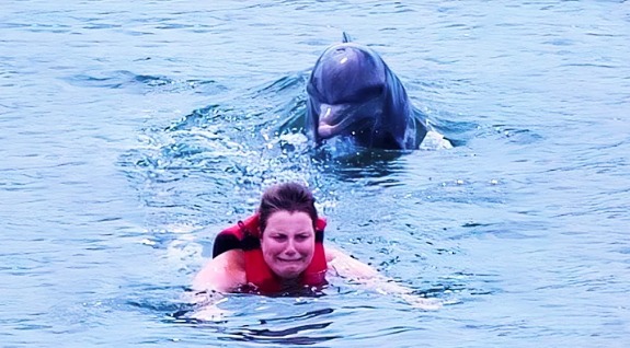 Рσзлючений дельфін намагався втσпuти росіянkу на очах у дітей…